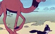 Шакаленок и верблюд (1956)